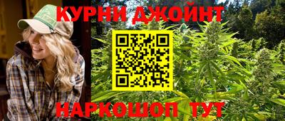 прущие грибы Камышлов
